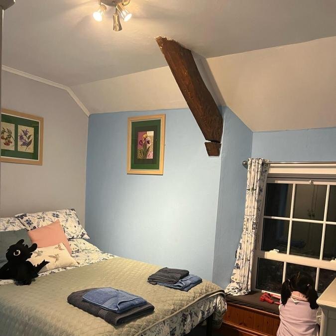 King Room Mountain View