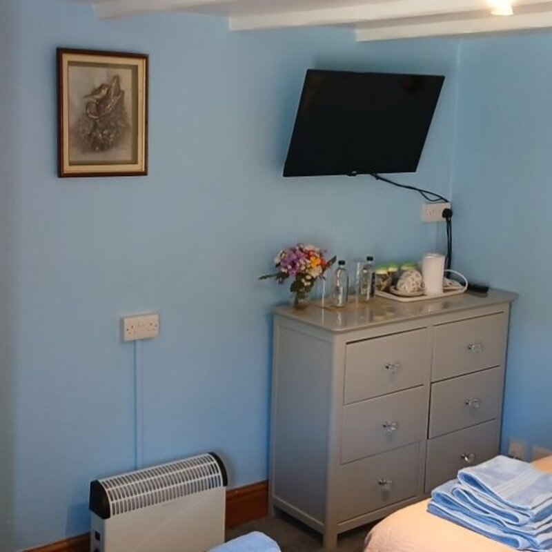 TV & hospitality tray